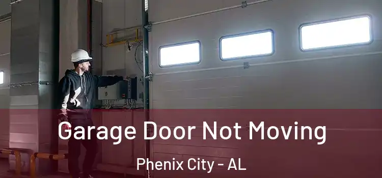  Garage Door Not Moving Phenix City - AL